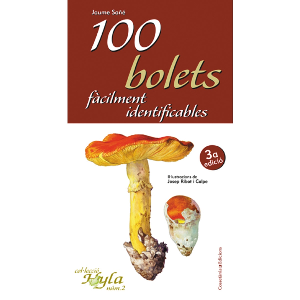 100 bolets fàcilment identificables(Tapa blanda) 1