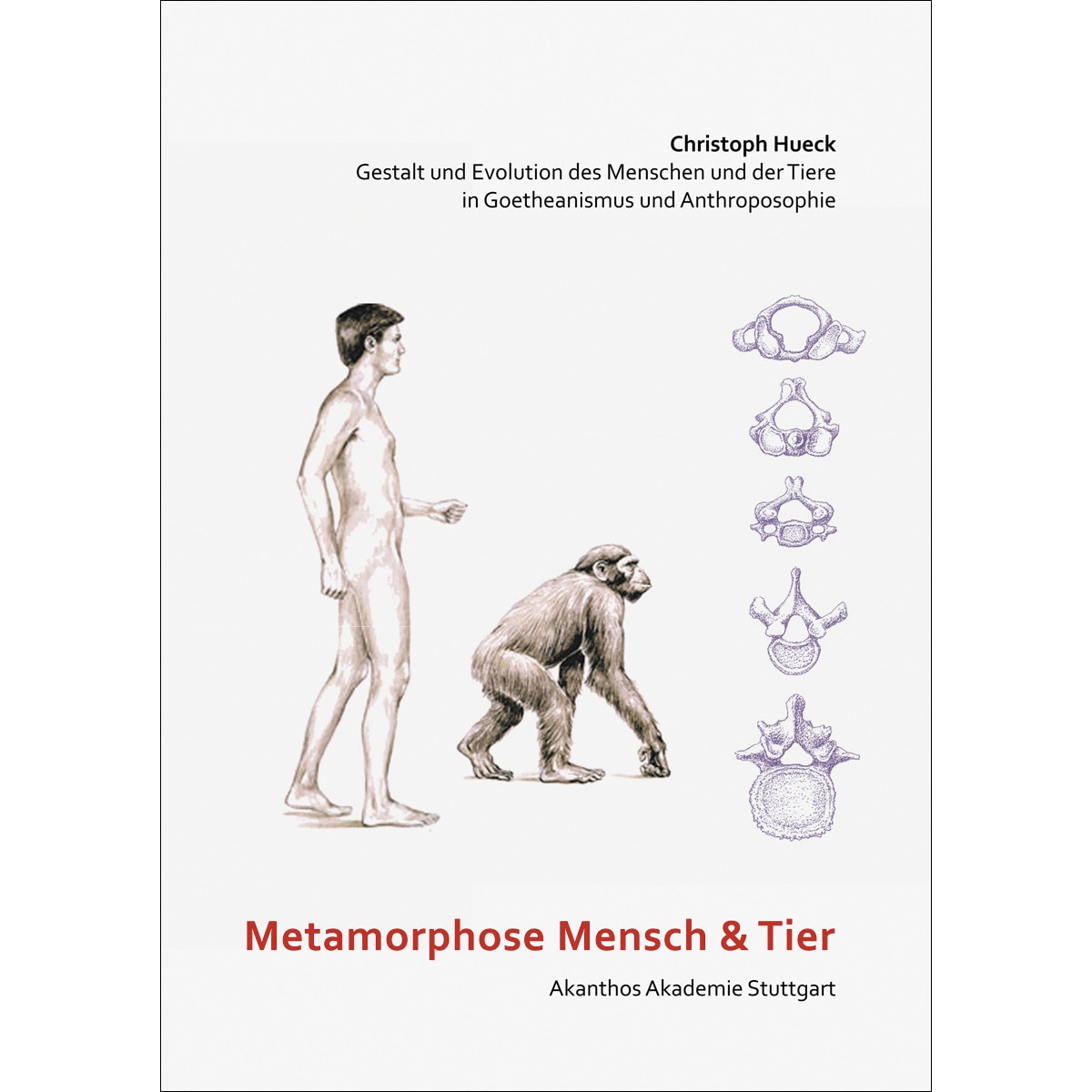 Metamorphose Mensch und Tier 1