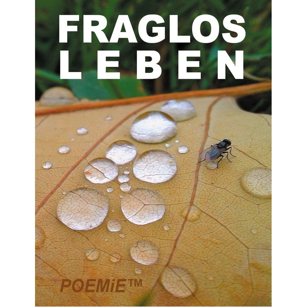 Fraglos LEBEN 1