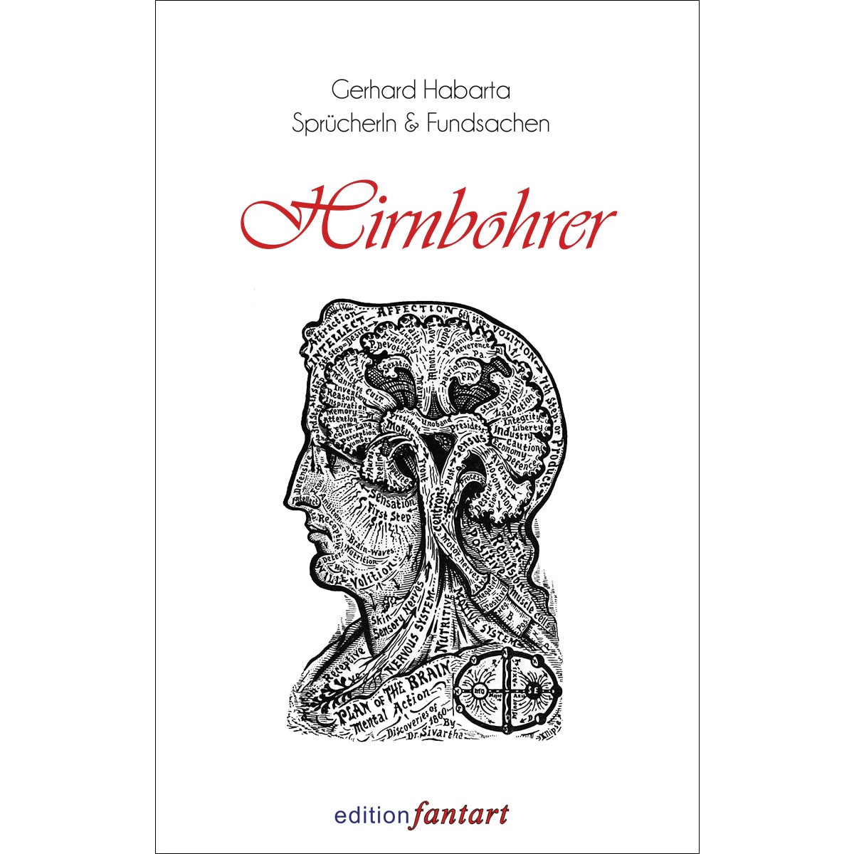 Hirnbohrer 1