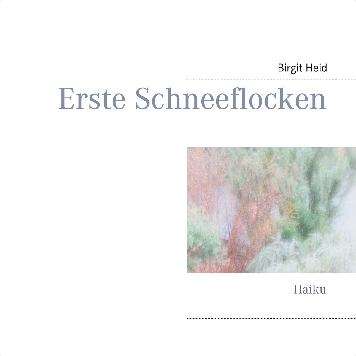 Erste Schneeflocken 1