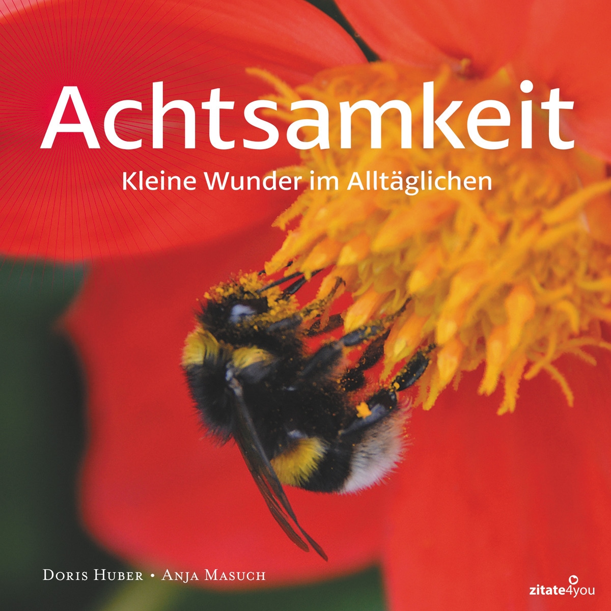 Achtsamkeit: Kleine Wunder im Alltäglichen (Capa mole) 1