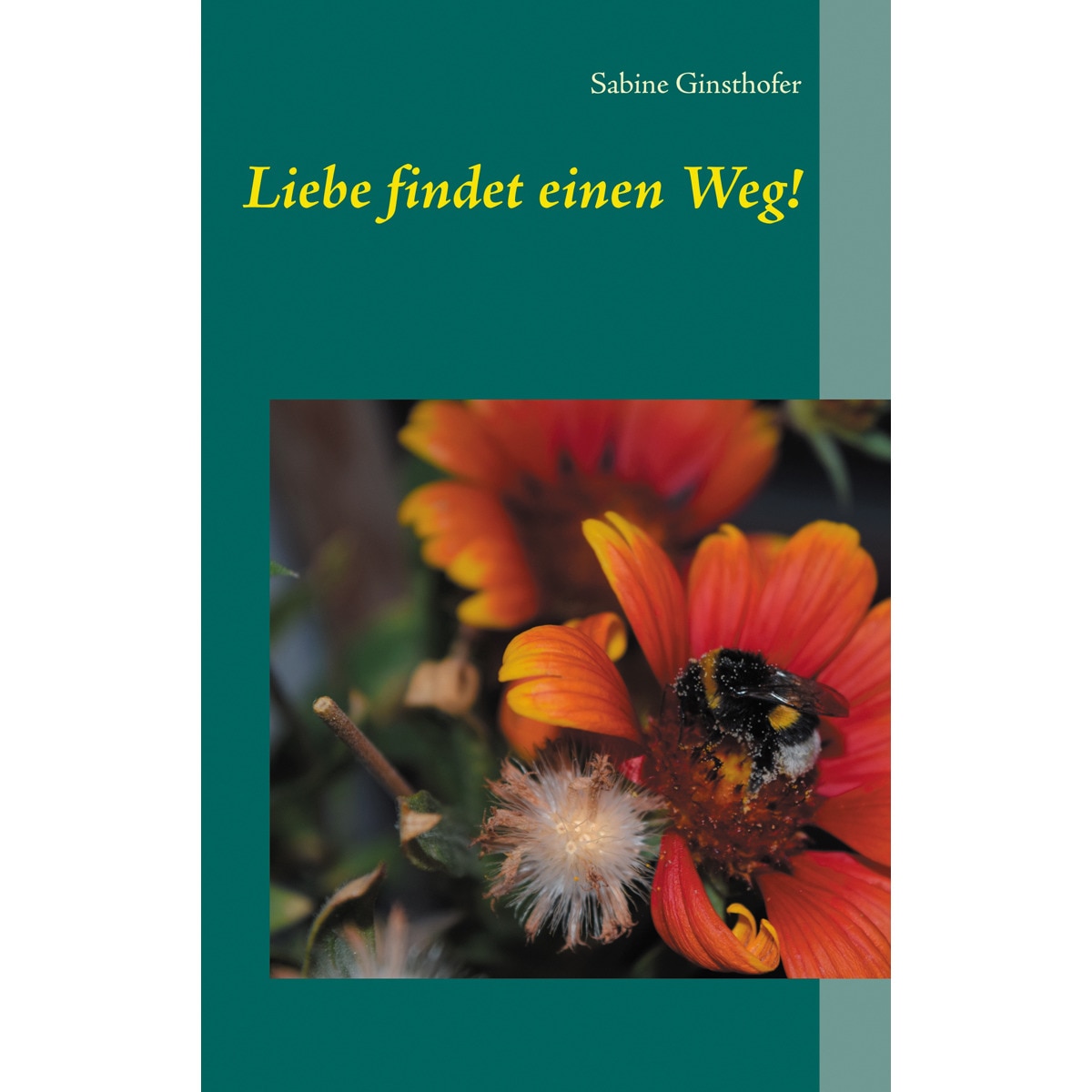 Liebe findet einen Weg! (Capa mole) 1