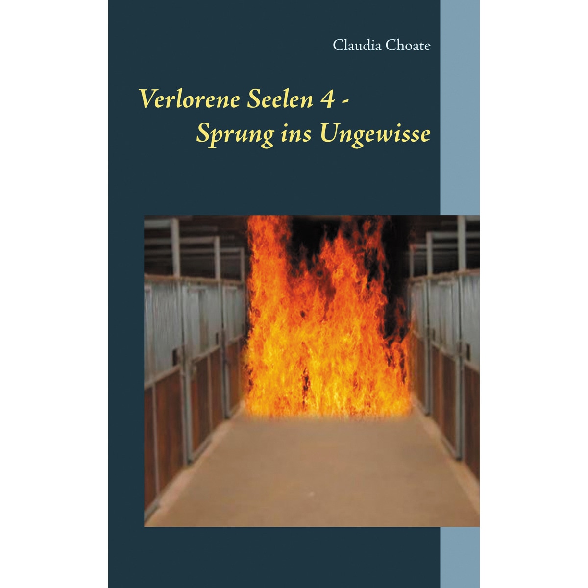 Verlorene Seelen 4 - Sprung ins Ungewisse (Capa mole) 1