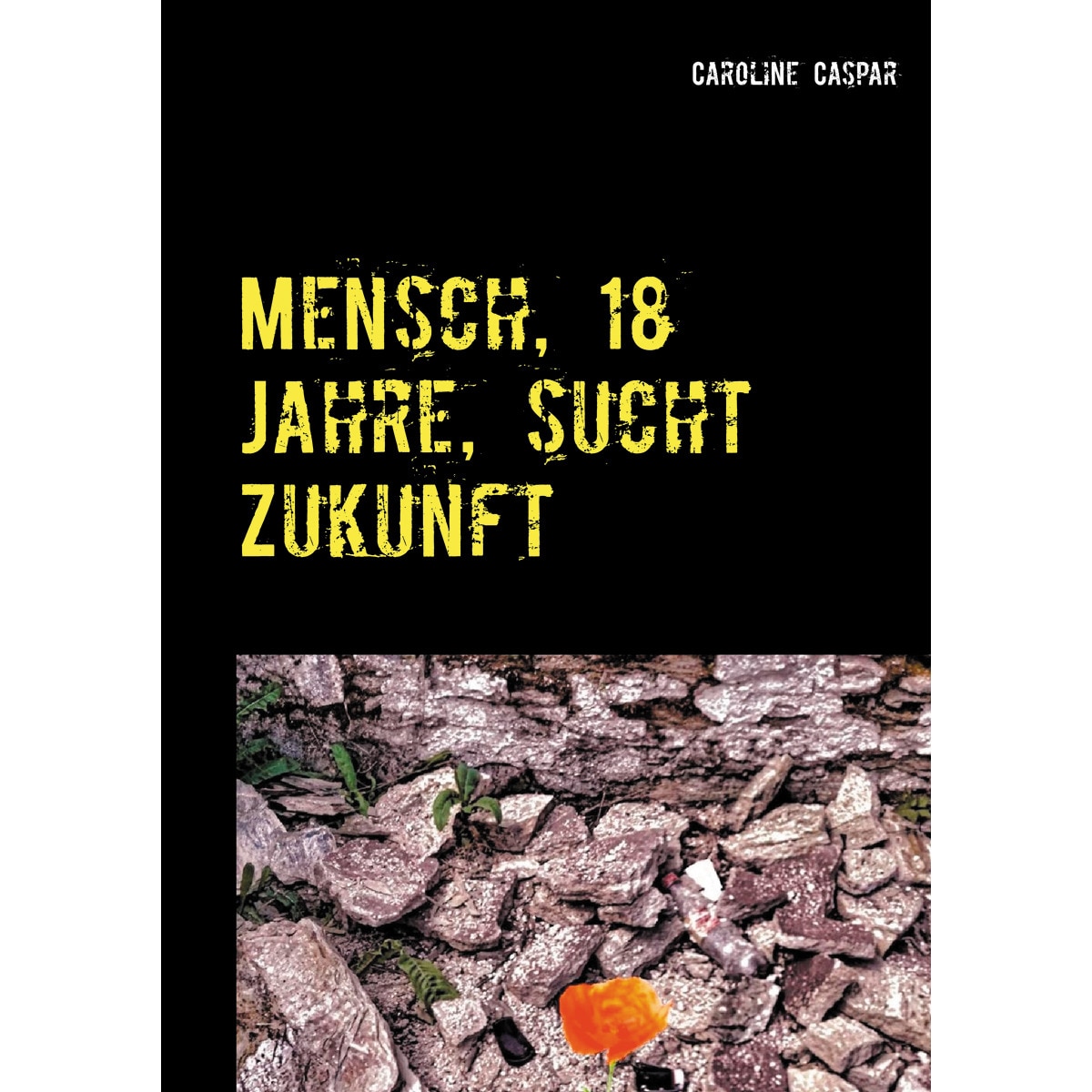 Mensch, 18 Jahre, sucht Zukunft 1
