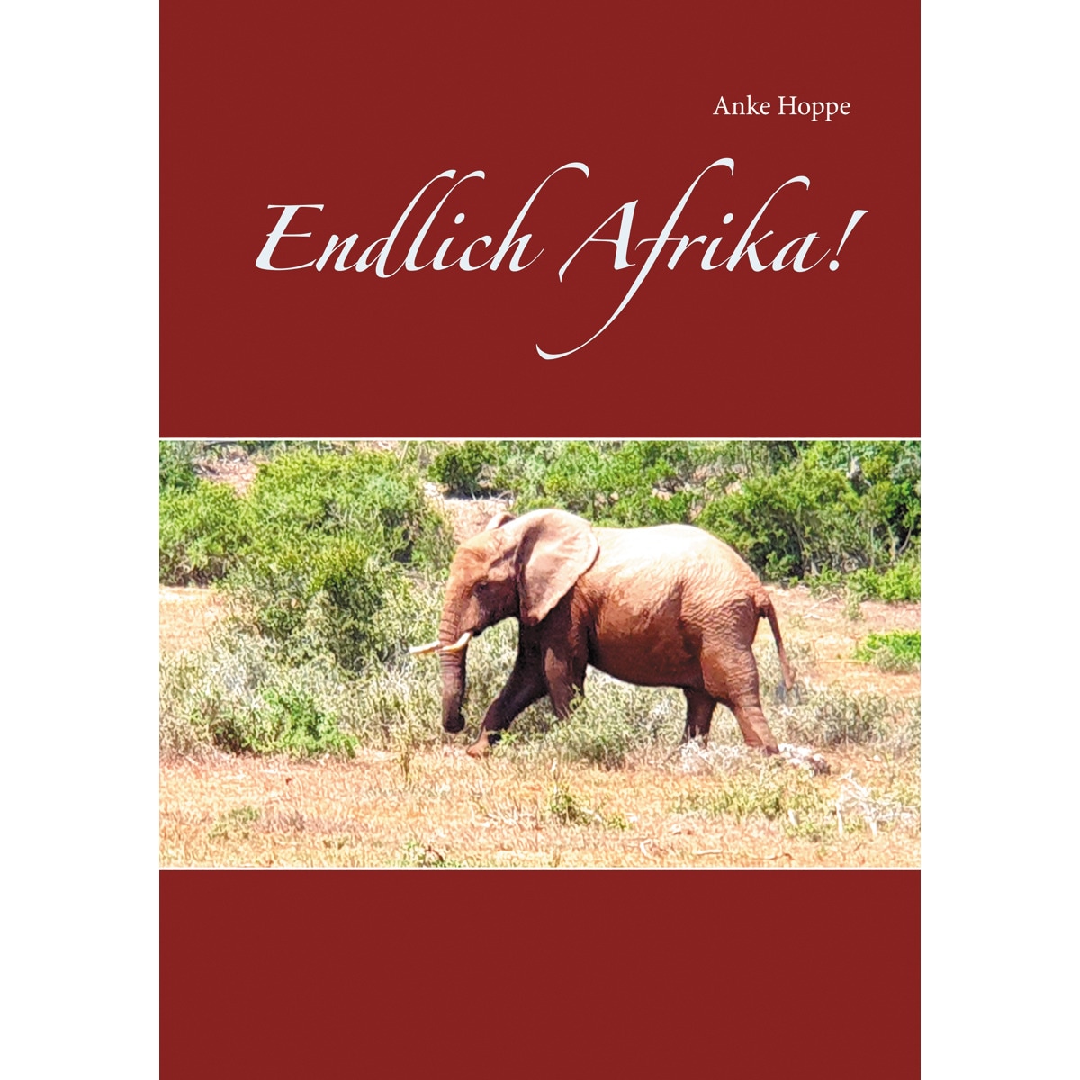 Endlich Afrika! 1