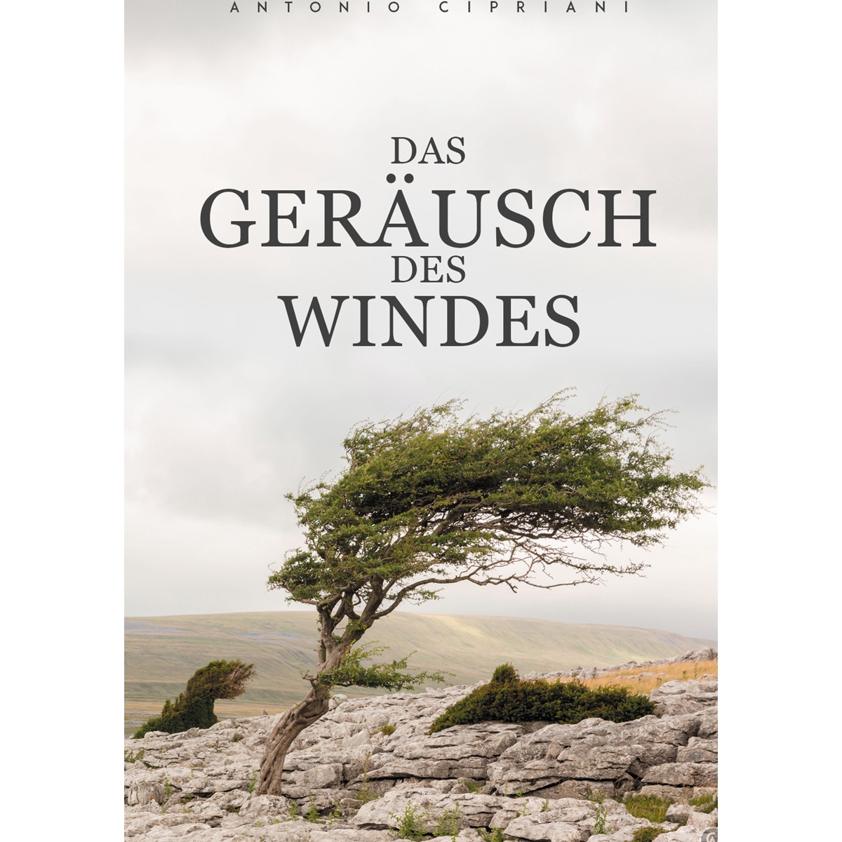 Das Geräusch des Windes 1