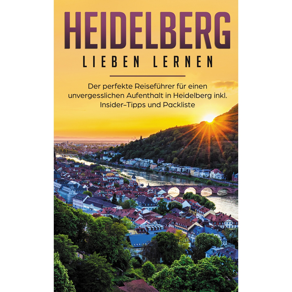 Heidelberg lieben lernen: Der perfekte Reiseführer für einen unvergesslichen 1