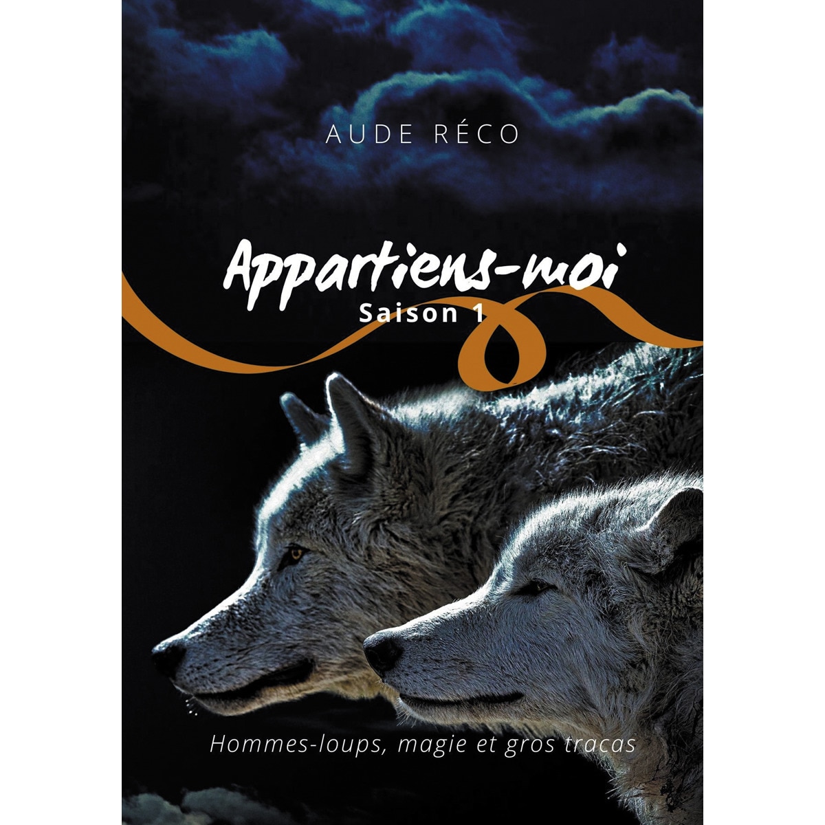 Appartiens-moi(Tapa blanda) 1