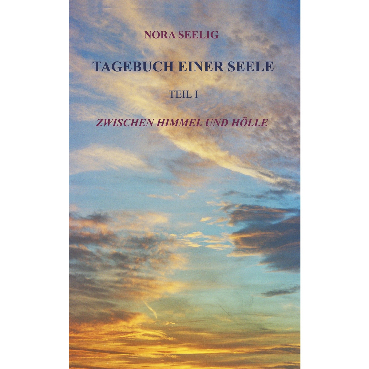 Tagebuch einer Seele 1