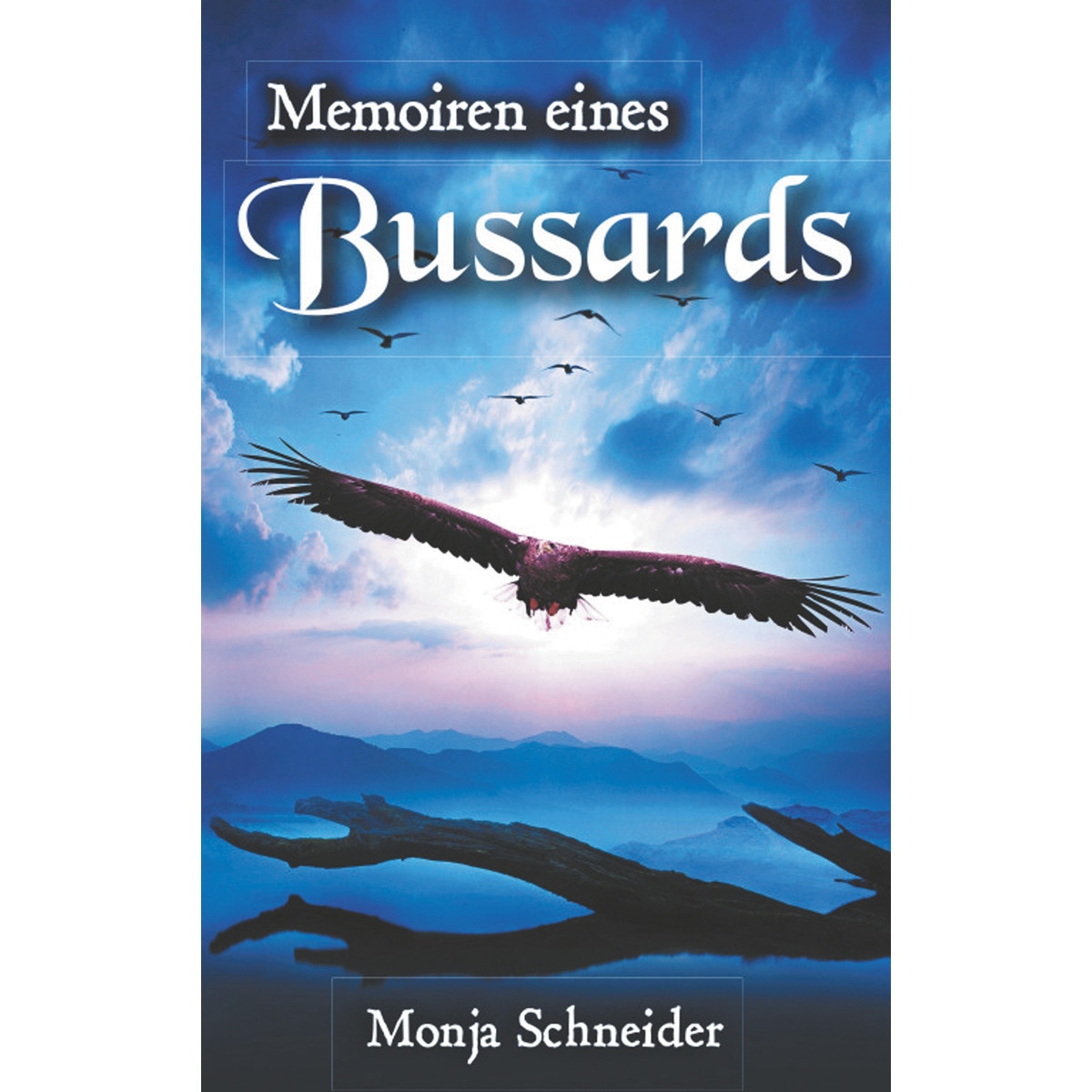 Memoiren eines Bussards 1