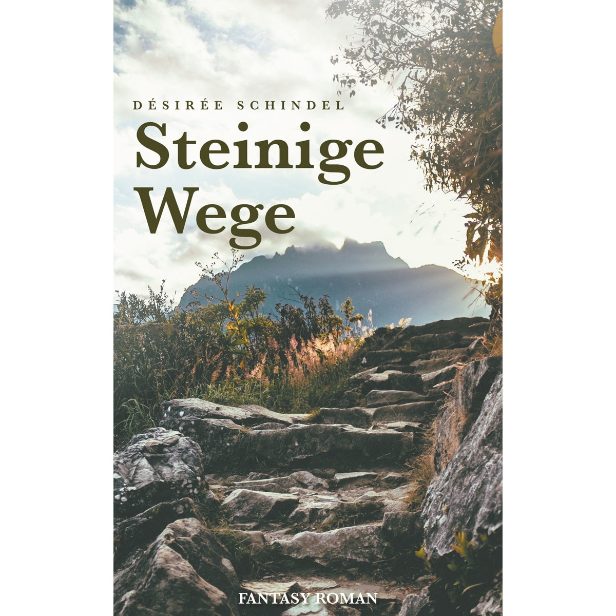 Steinige Wege (Capa mole) 1