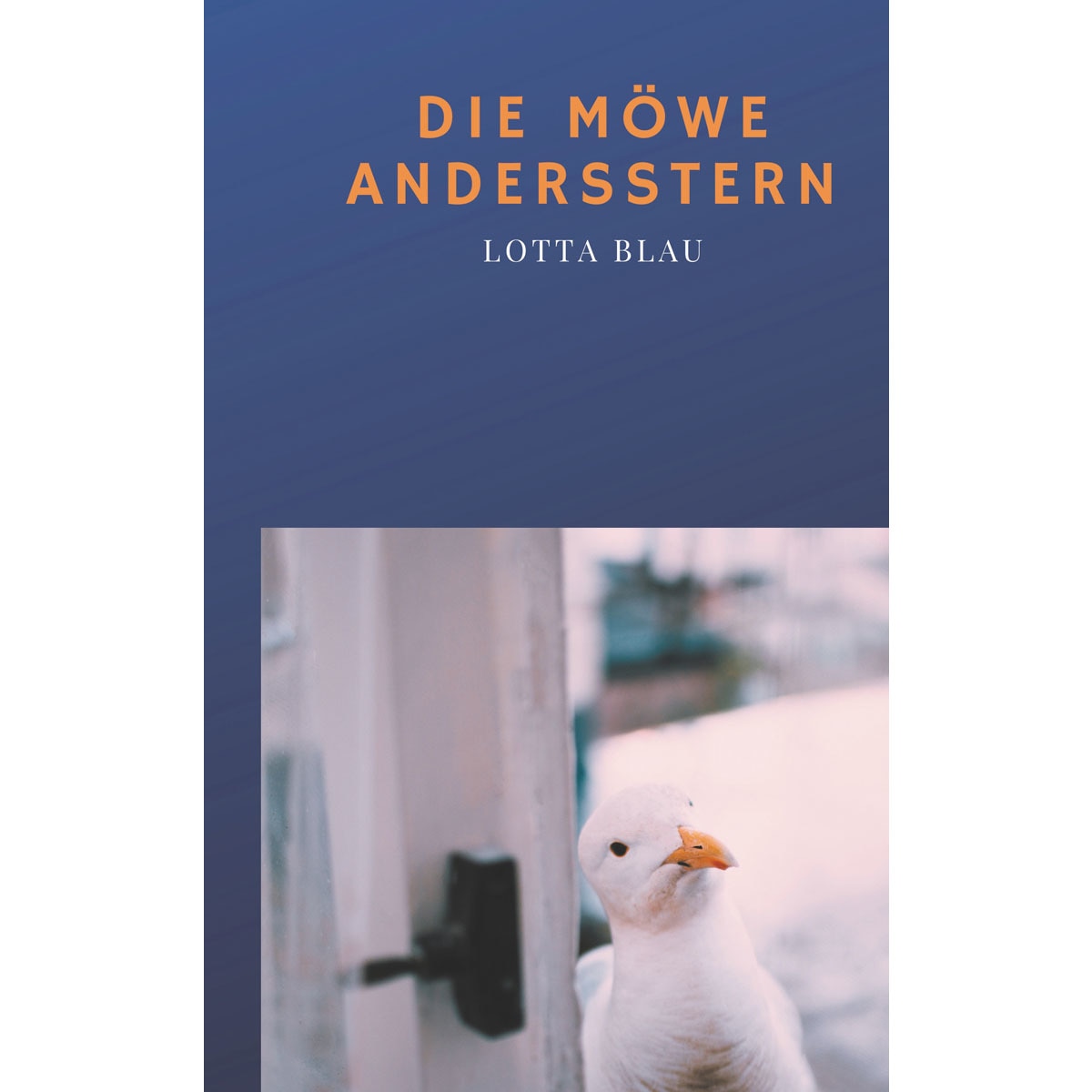 Die Möwe Andersstern 1