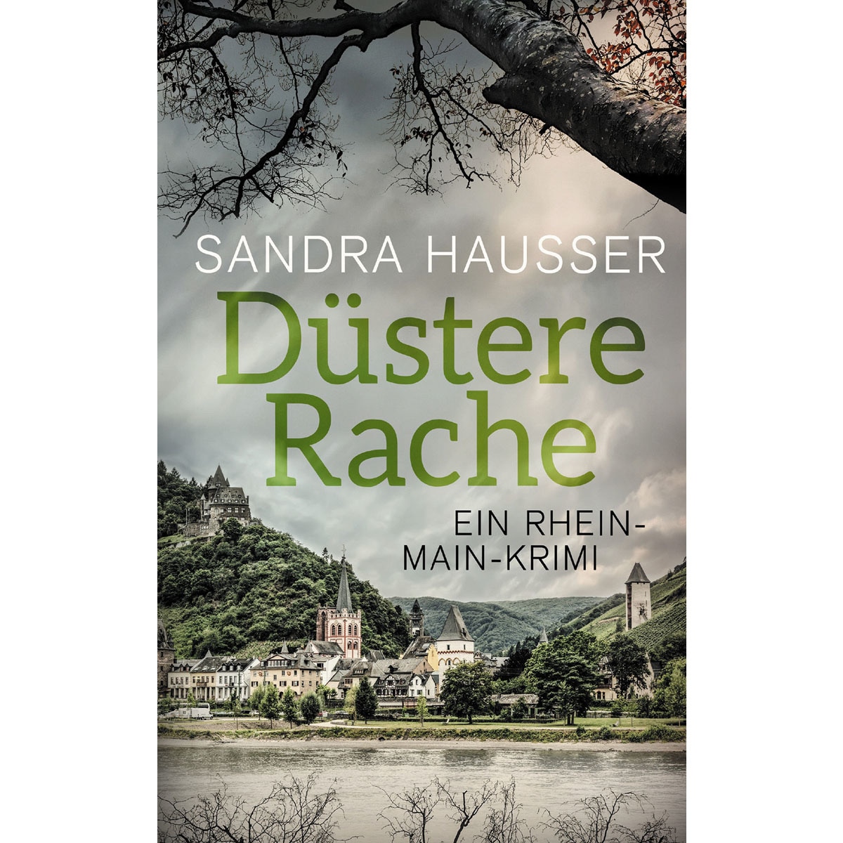 Düstere Rache: Ein Rhein-Main-Krimi (Capa mole) 1