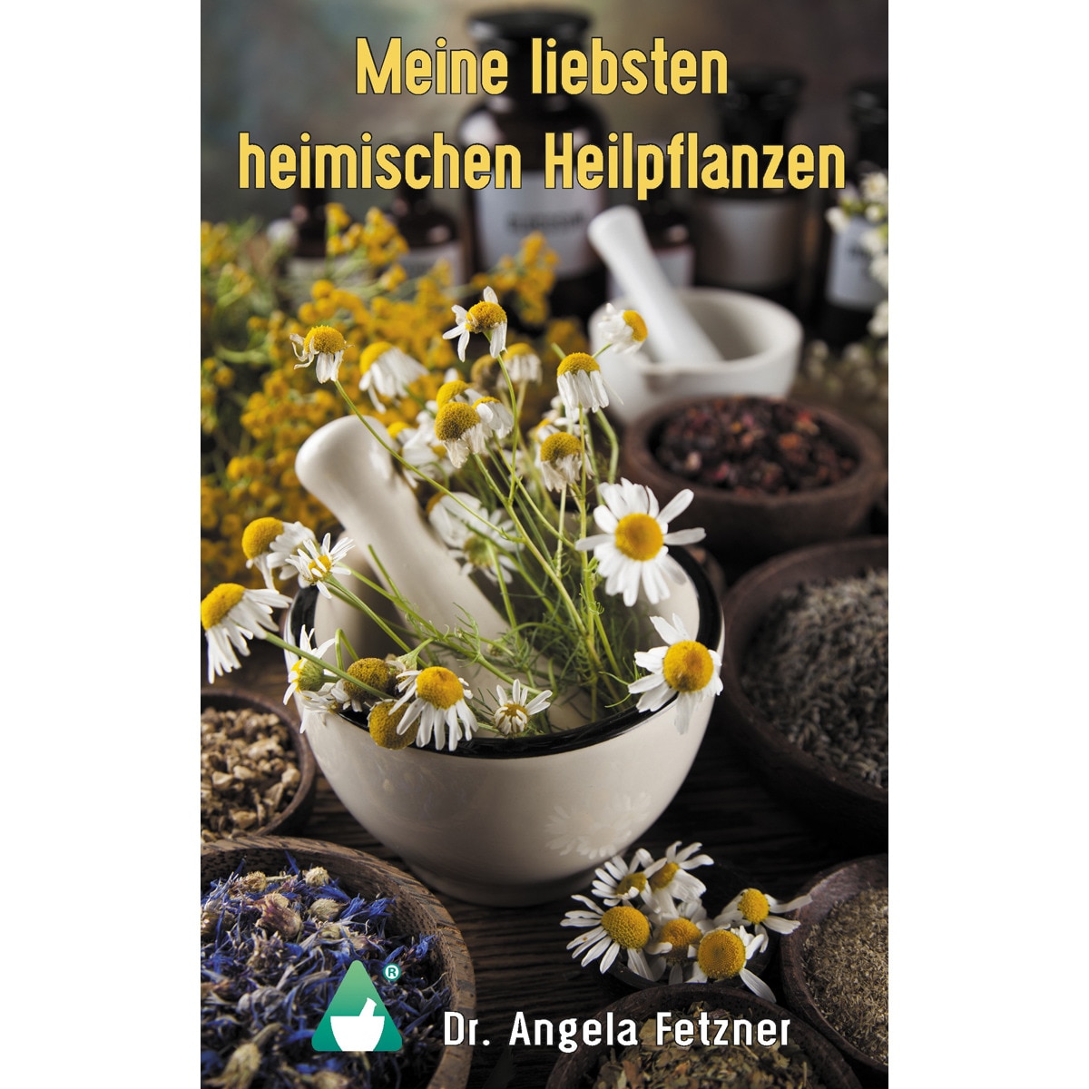 Meine liebsten heimischen Heilpflanzen 1