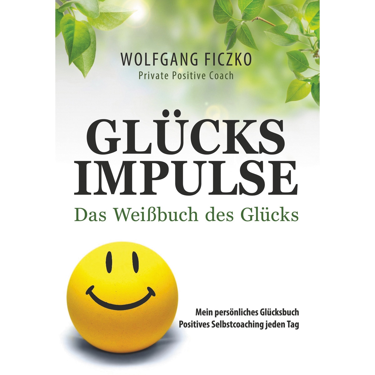Glücksimpulse 1