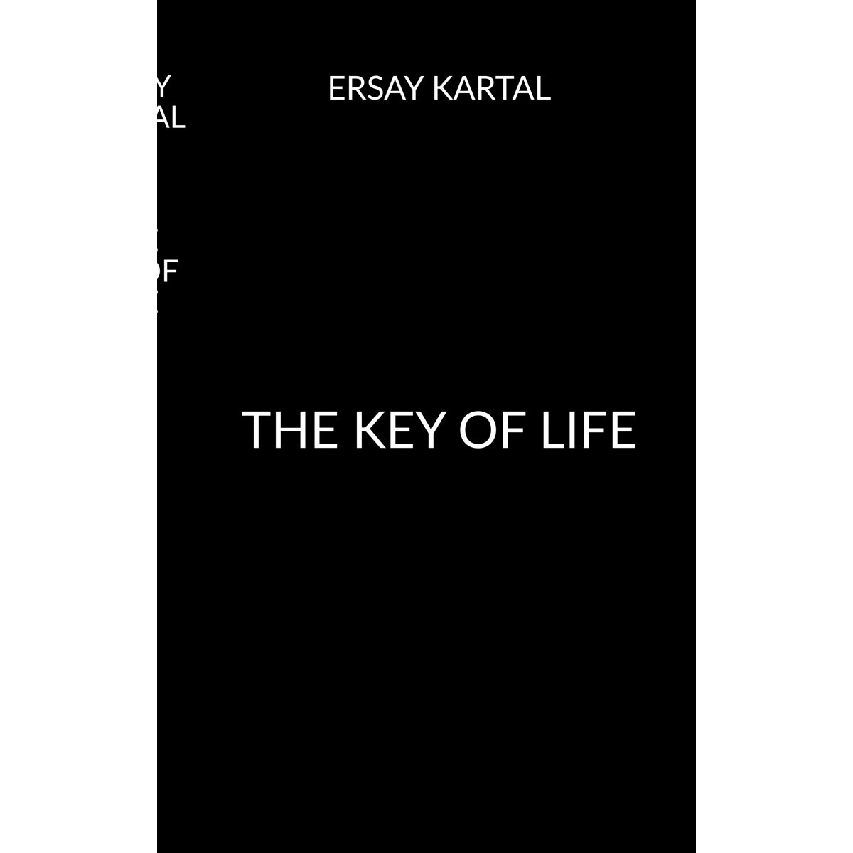 Imagem 0 de The key of life(Tapa blanda)