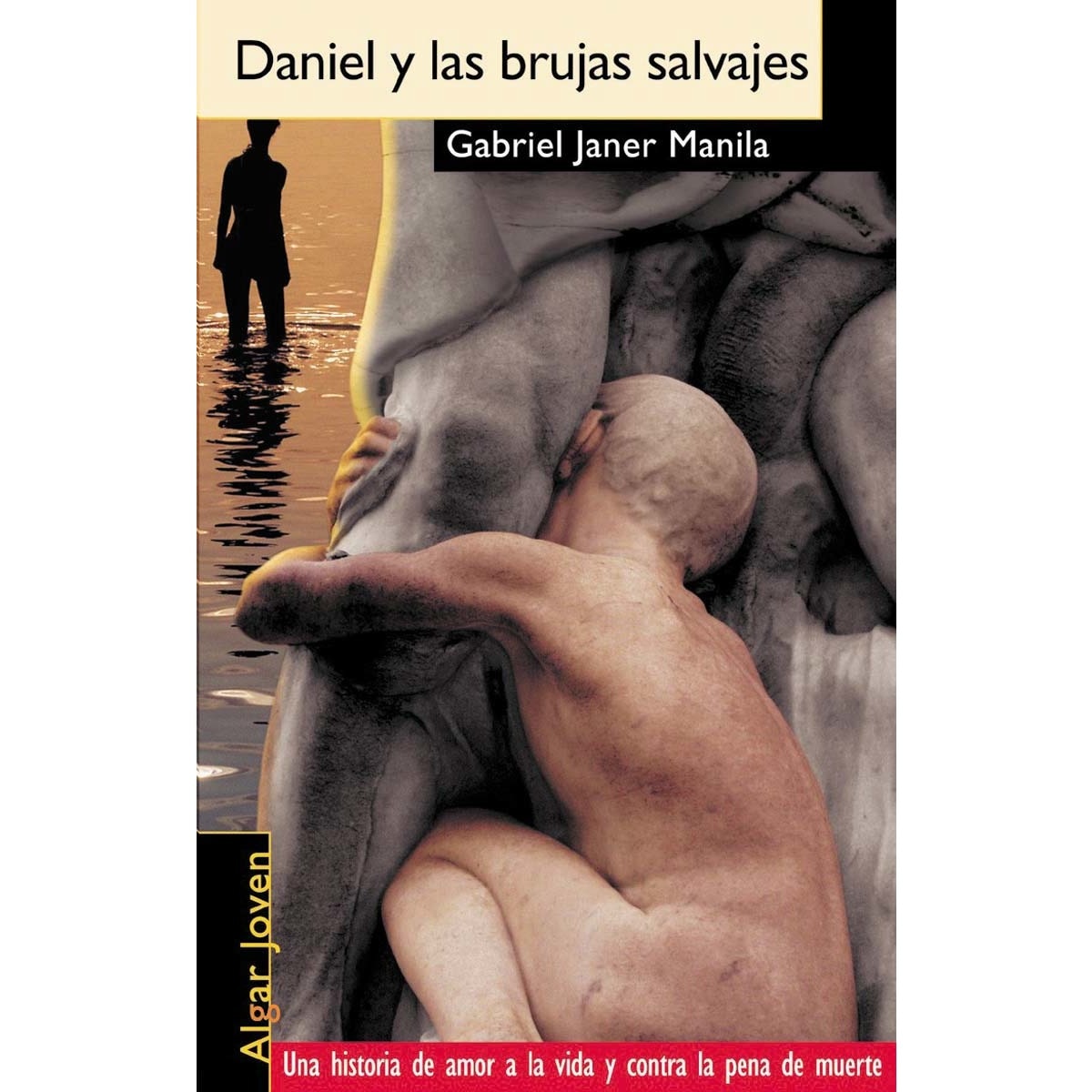 Imagen 0 de Daniel y las brujas salvajes (Tapa blanda)