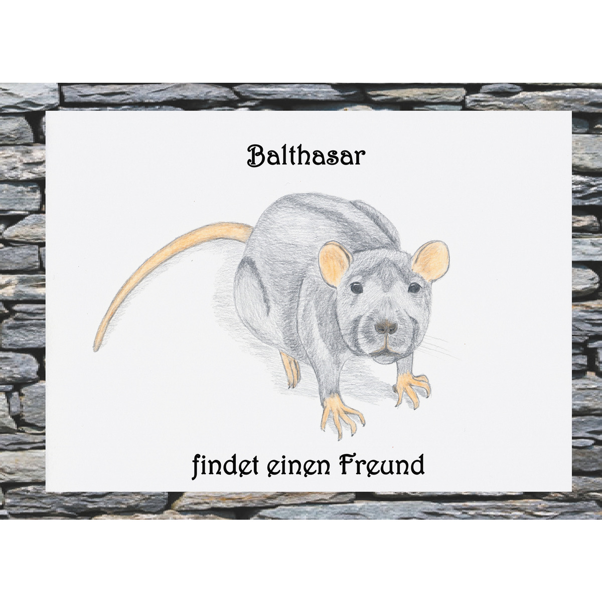Balthasar findet einen freund(Tapa dura) 1