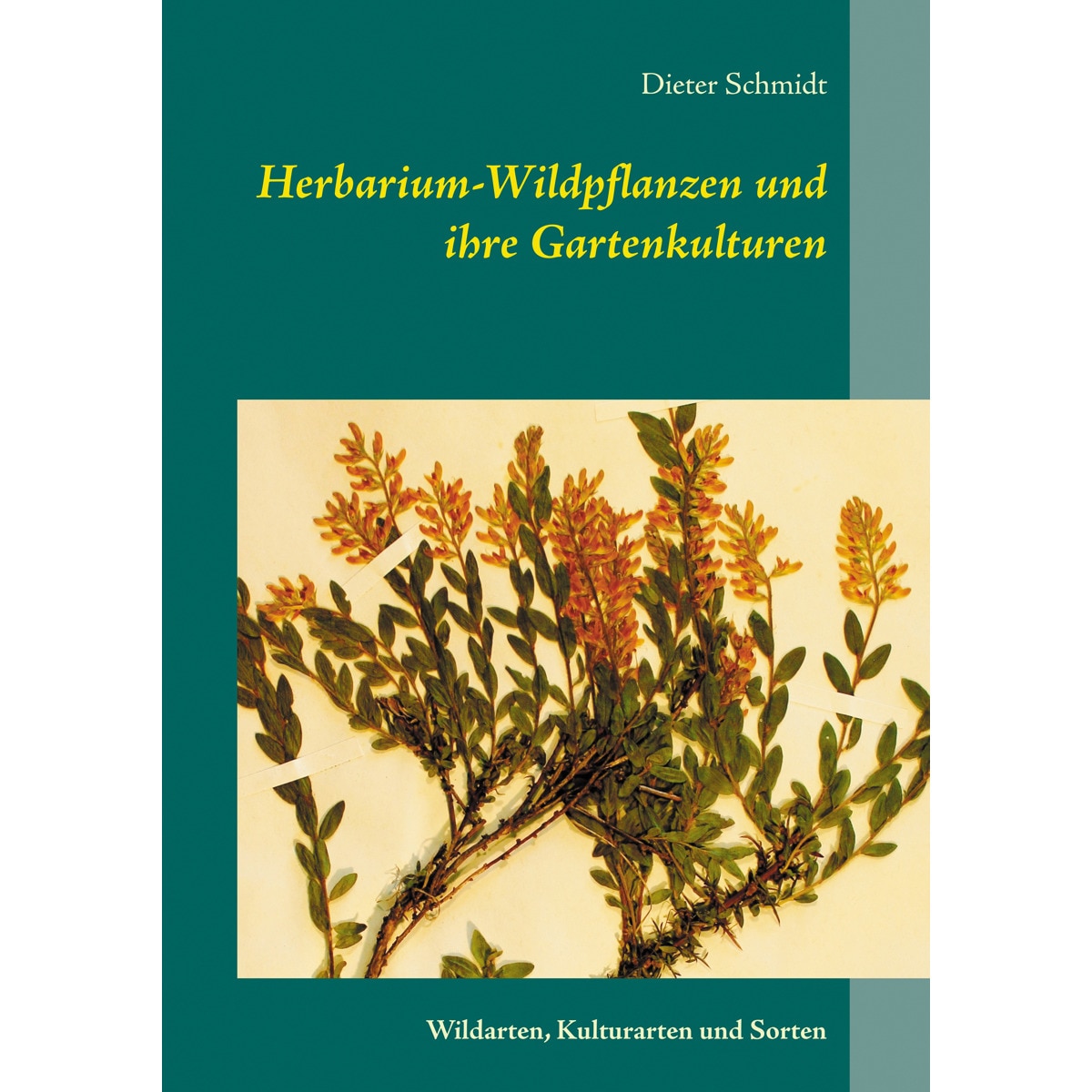 Herbarium-Wildpflanzen und ihre Gartenkulturen 1