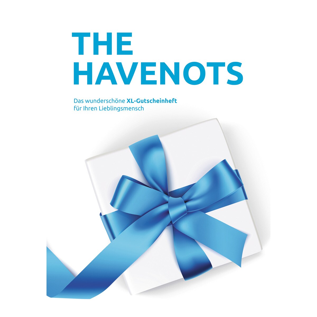 the havenots 1