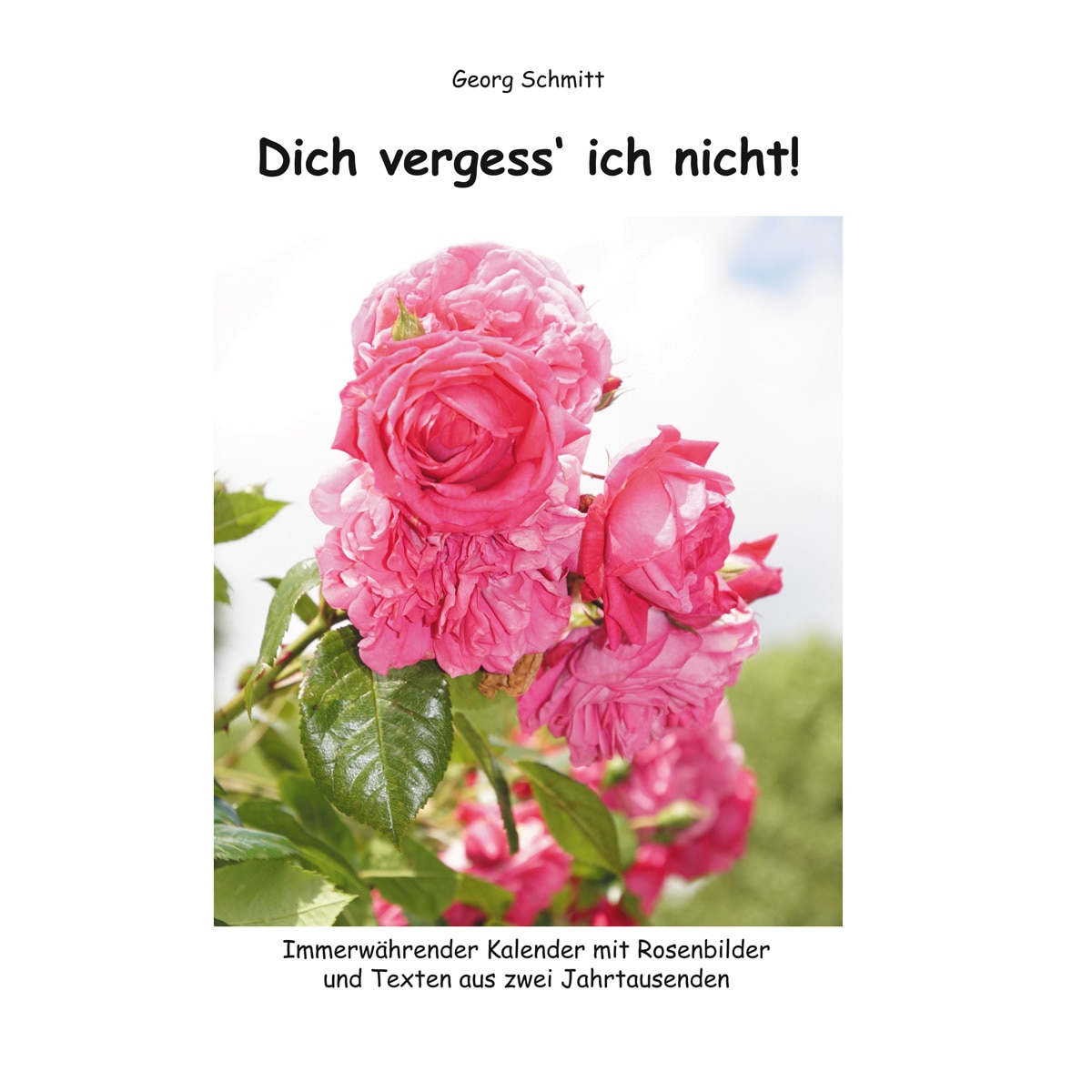 Dich vergess' ich nicht! 1