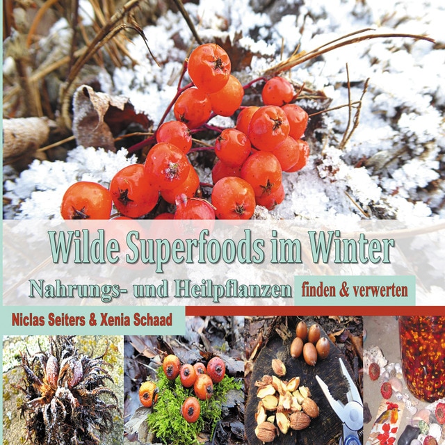 Imagem 0 de Wilde superfoods im winter: Nahrungs- und heilpflanzen finden & verwerten(Tapa blanda)