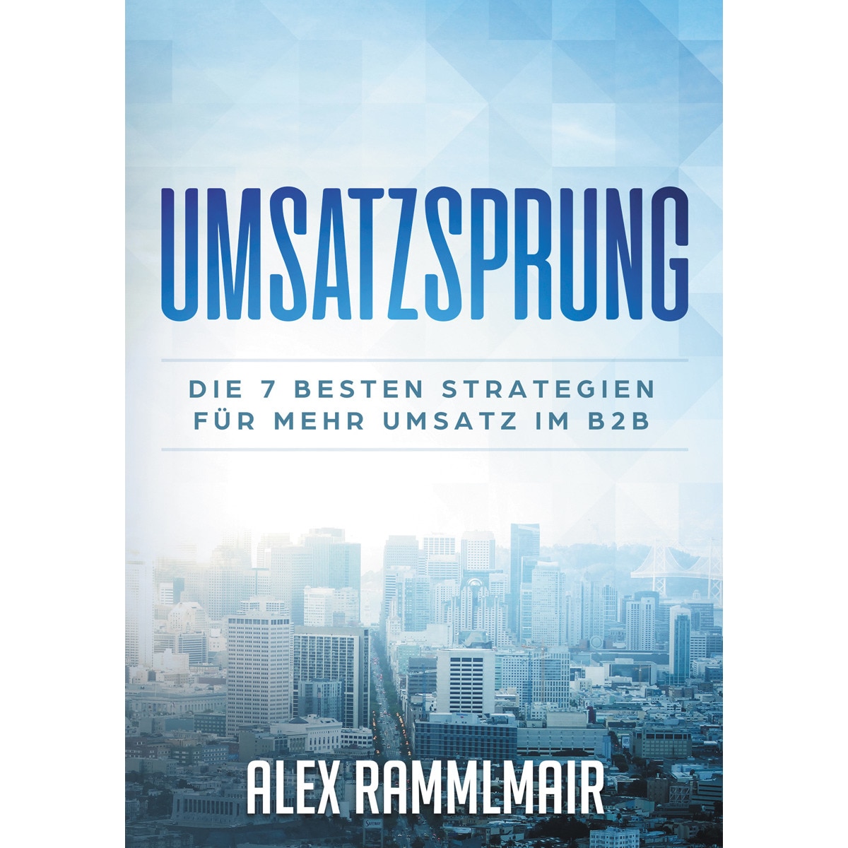 Umsatzsprung 1