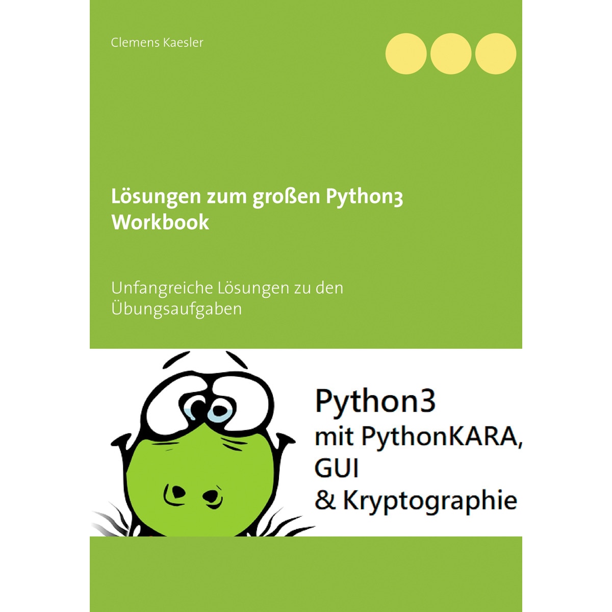 Lösungen zum großen Python3 Workbook 1