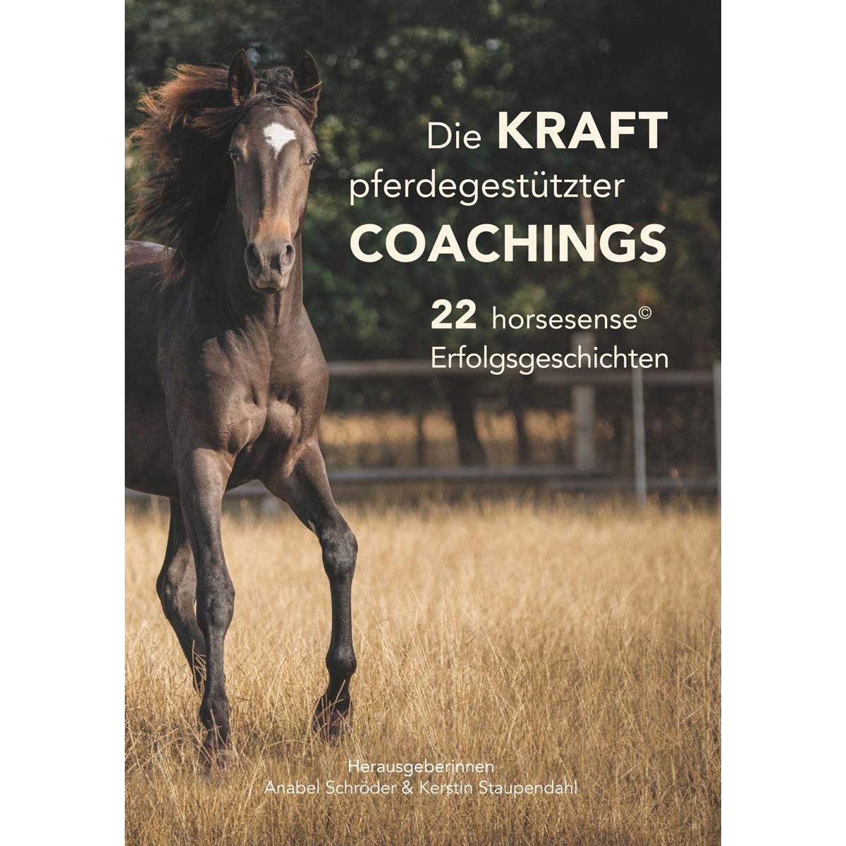 Die Kraft pferdegestützter Coachings 1