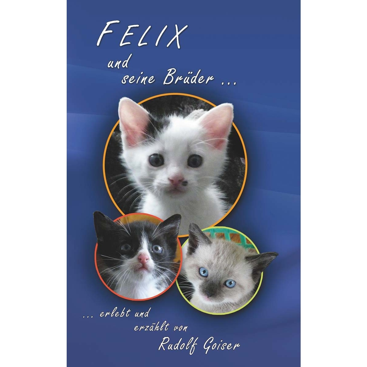 Felix und seine Brüder 1