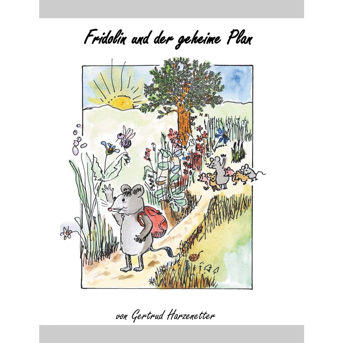 Fridolin und der geheime Plan 1