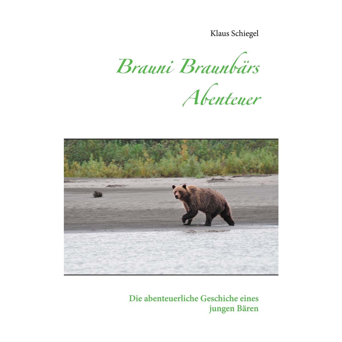 Brauni Braunbärs Abenteuer 1