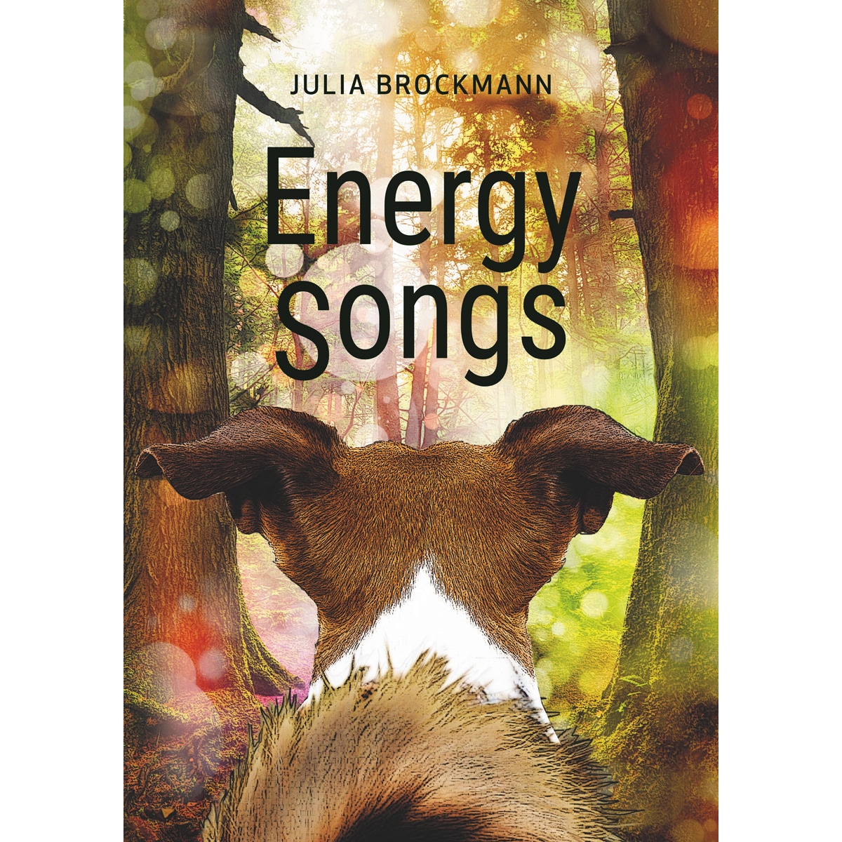 Imagem 0 de Energy Songs