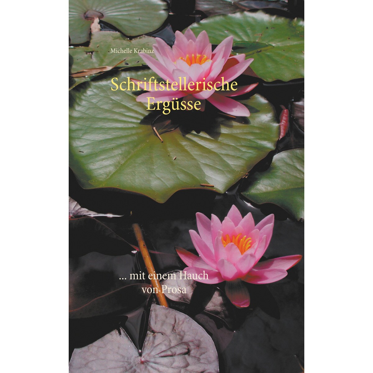 Imagem 0 de Schriftstellerische Ergüsse