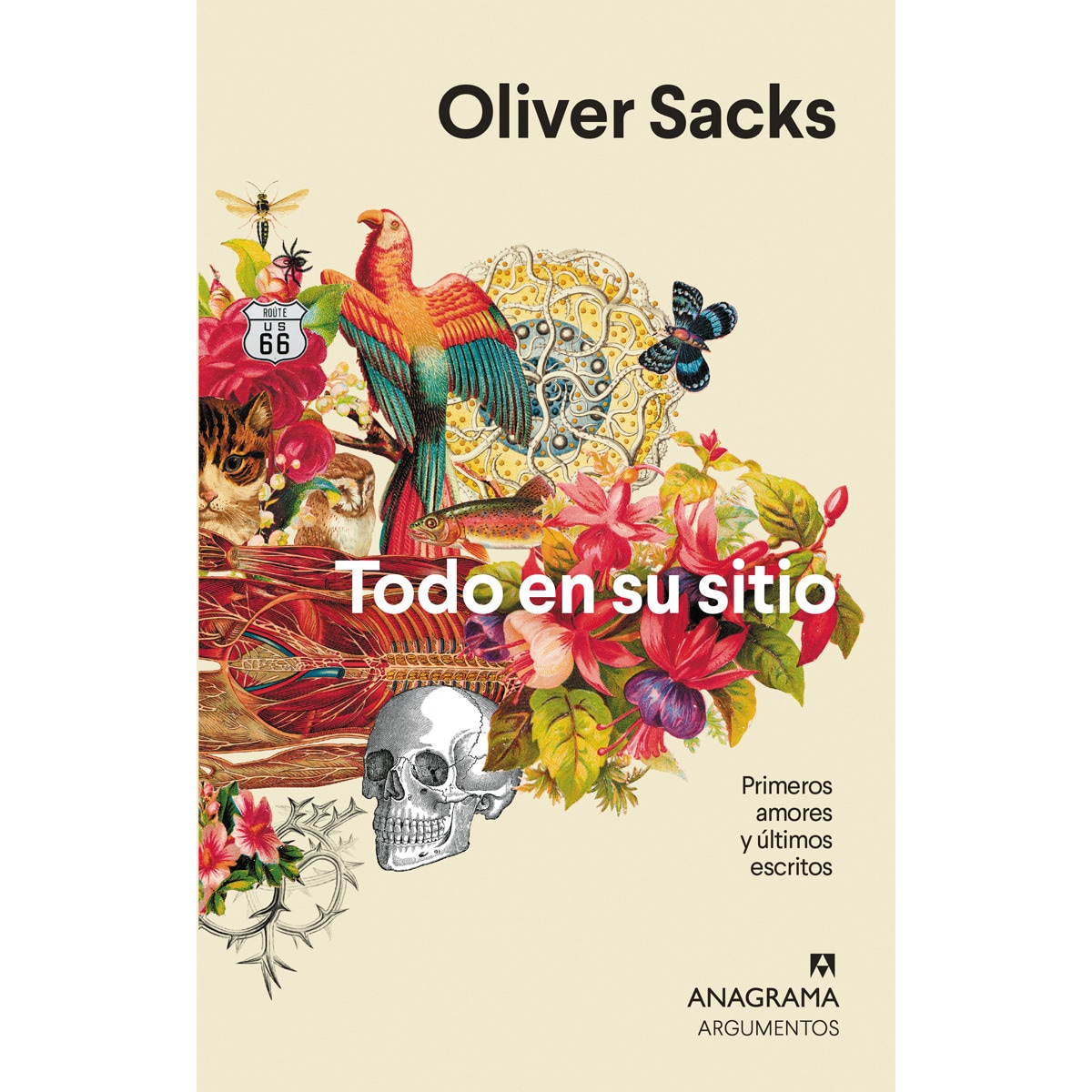 Imagen 0 de Todo en su sitio: Primeros amores y últimos escritos (Tapa blanda)