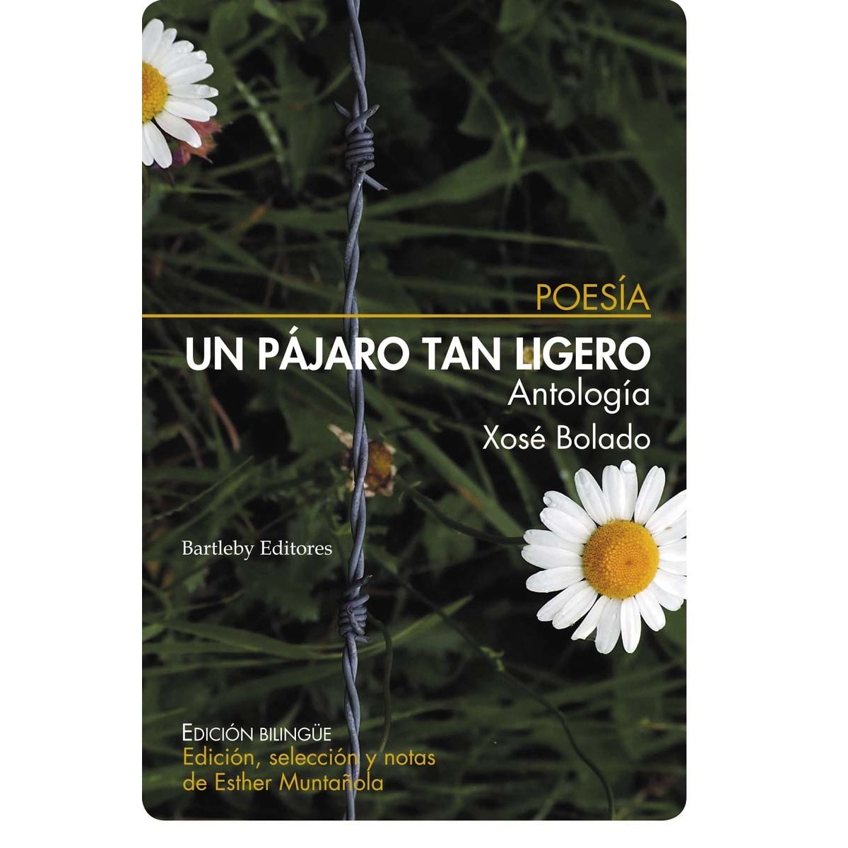 Imagen 0 de Un pájaro tan ligero