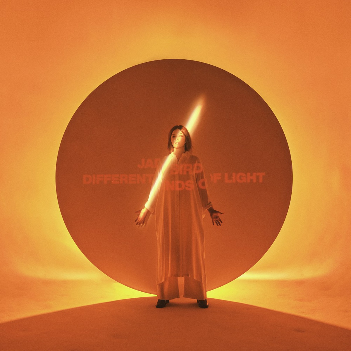 Imagen 0 de Different Kinds of Light (CD)