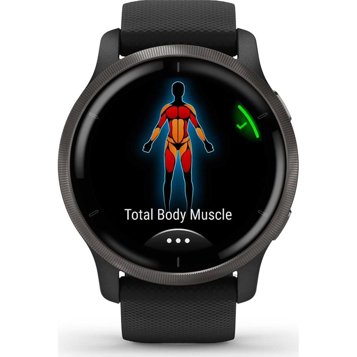 Smartwatch Garmin Venu 2 - Preto Preto-3