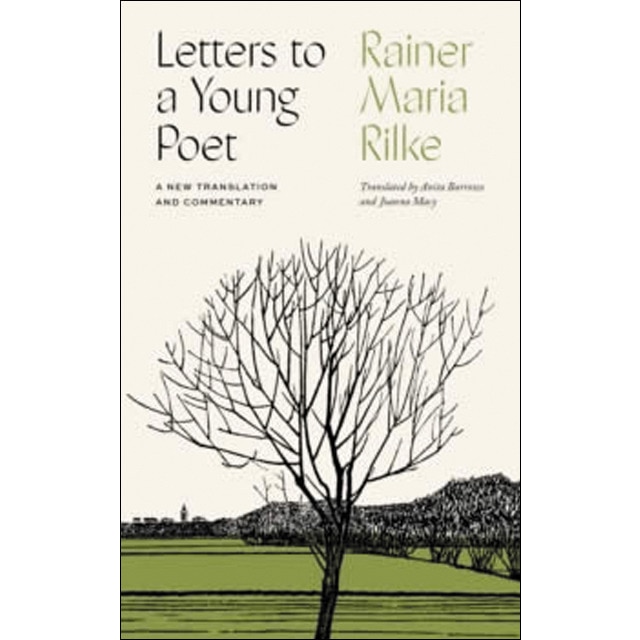 Letters to young poet 1