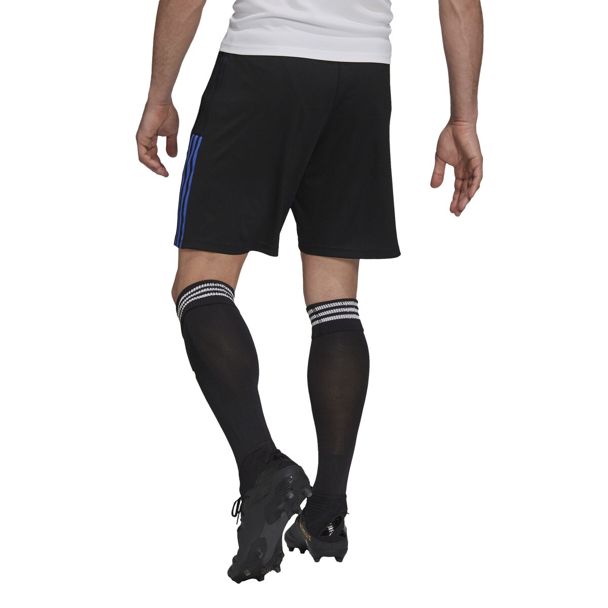 Pantalón corto Real Madrid 2021/2022 Primeblue