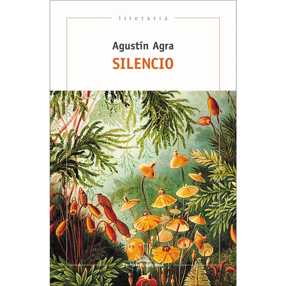 Silencio(Tapa blanda) 1