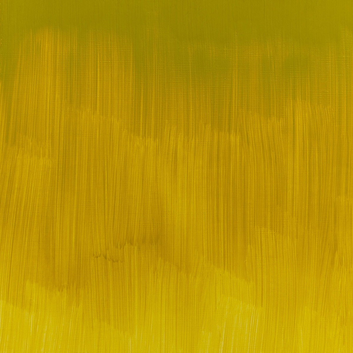 Tubo Oleo Winton 37ml Winsor&Newton Amarillo Azoverdoso Amarillo-3