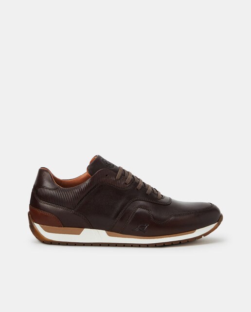 Zapatillas de hombre de piel kangaroos en marrón oscuro con cierre de  cordones · Kangaroos · El Corte Inglés