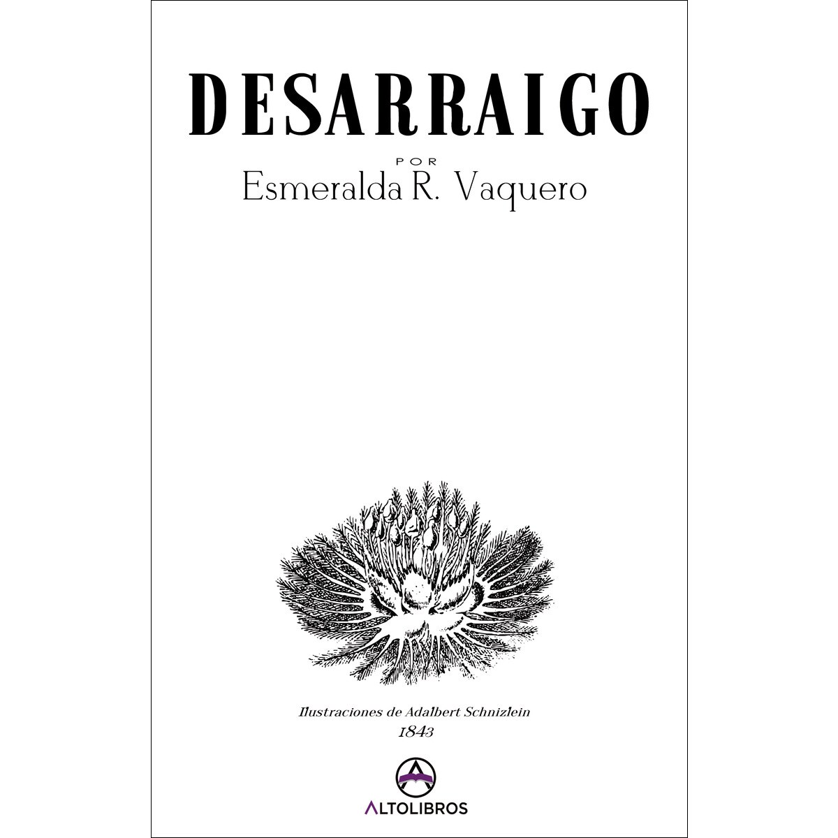 Desarraigo(Tapa blanda) 1