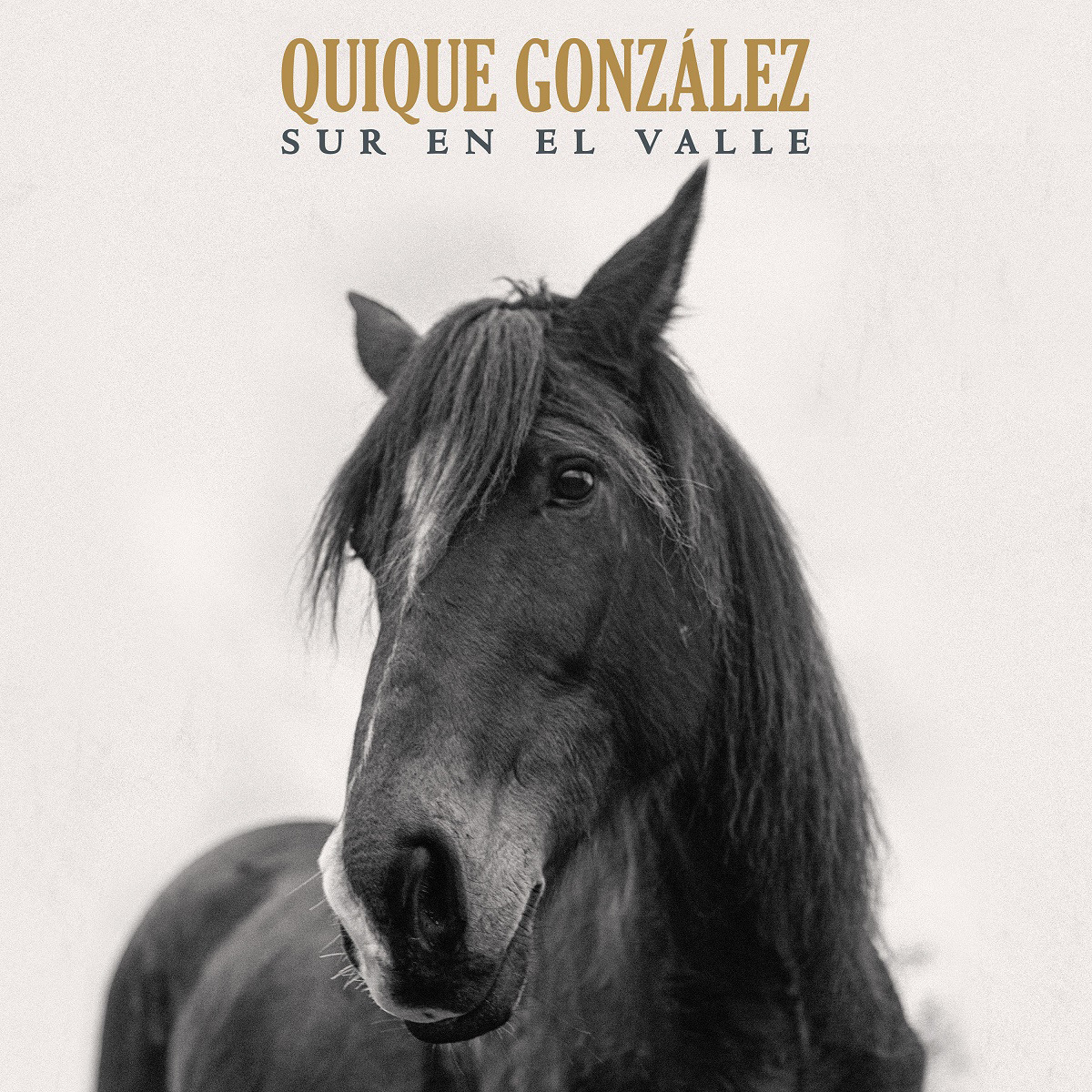 Imagem 0 de Sur En El Valle (CD + LP-Vinil)