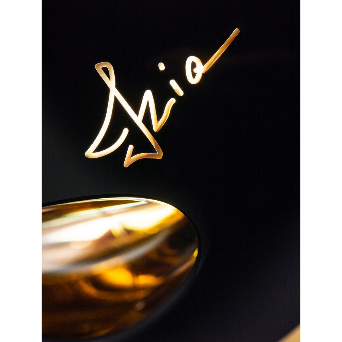 Izia La Nuit Eau de Parfum 100ml Sisley Paris 5