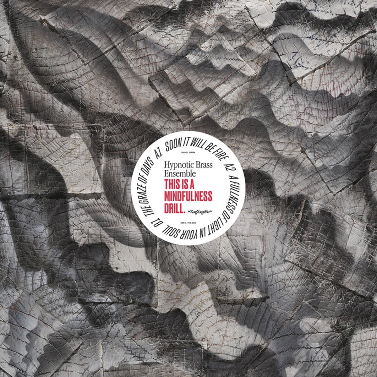 This is Mindfulness Drill (LP-Vinil) 1