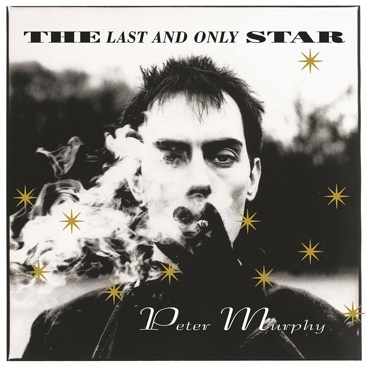 Imagem 0 de The Last and Only Star - Rarities (Gold Edition) (LP-Vinil)