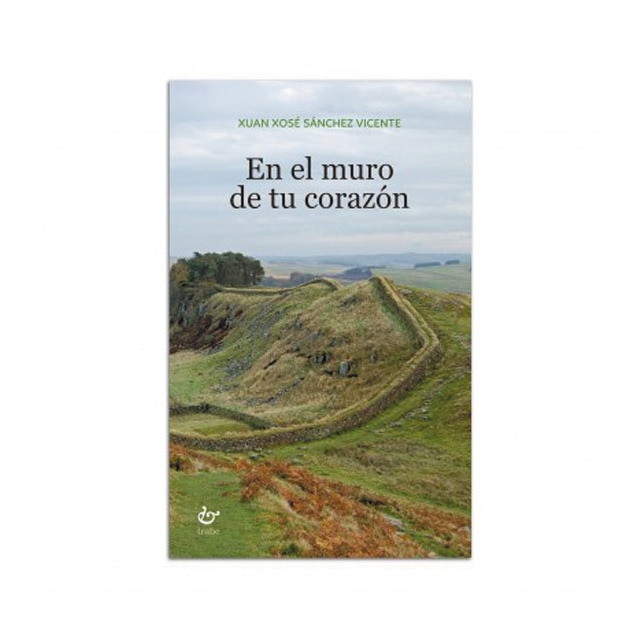 Imagem 0 de En el muro de tu corazón